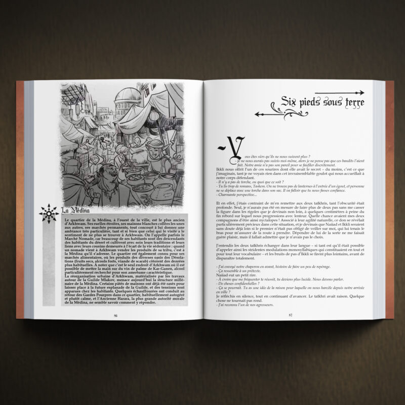 Les Carnets de Voyages de Reyan Taskem : “Désolations Nordiques” – Image 2